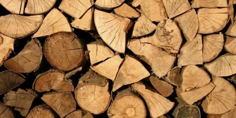 Seasoned firewood stacked for local delivery in New Zealand