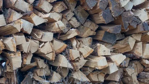 Dry seasoned firewood in Whanganui: stacked for winter in Whanganui