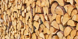 Firewood delivery in Whanganui with dry seasoned wood