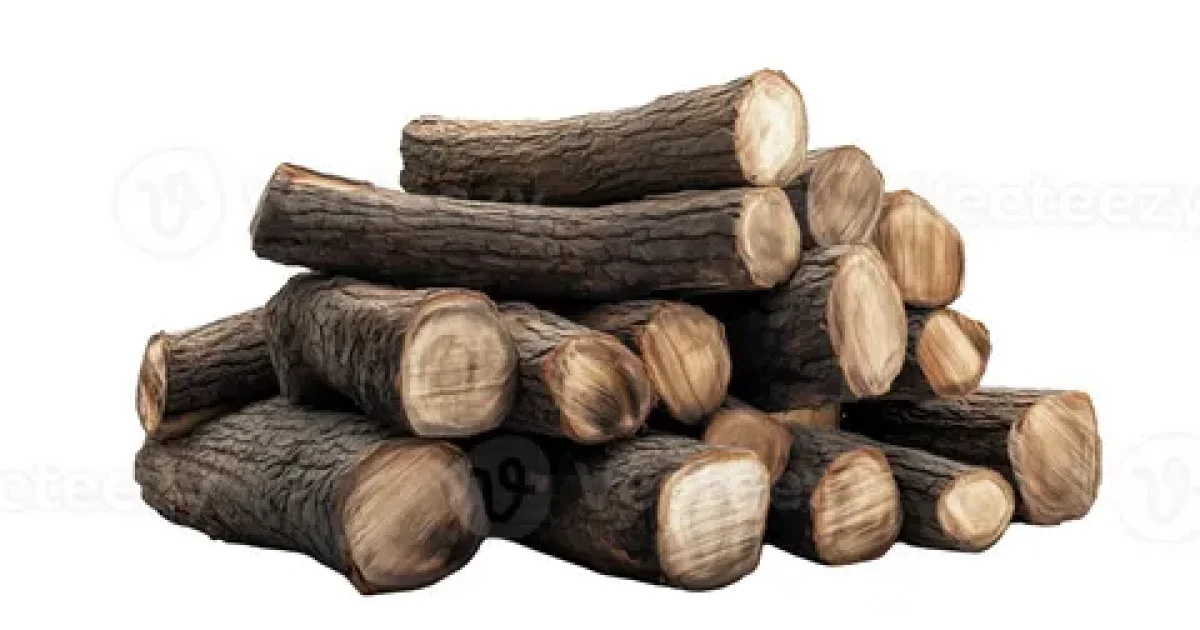 Best firewood for winter in Whanganui, including dry gum, macrocarpa and pine logs