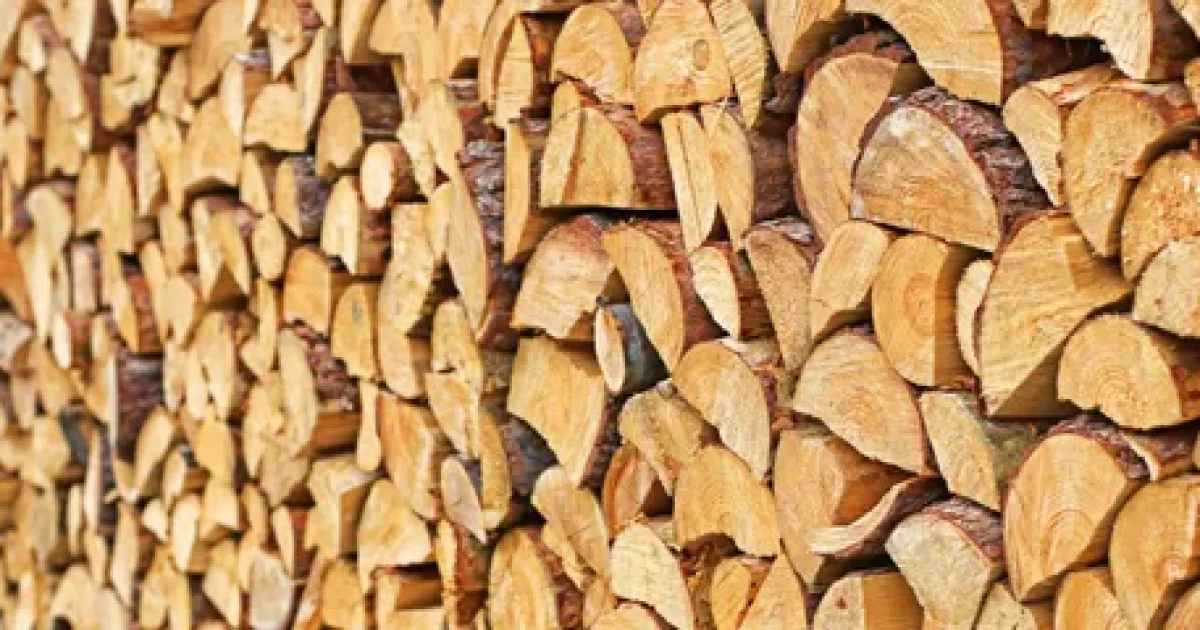 Firewood delivery in Whanganui with stacked dry firewood